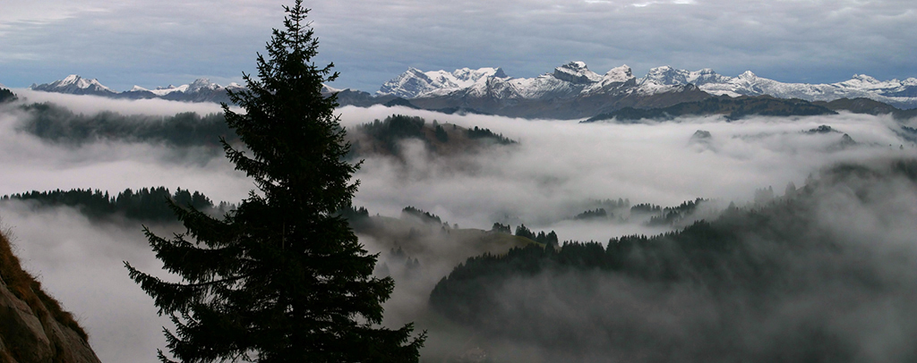 Glarneralpen mit Glaernisch und Saentis.jpg